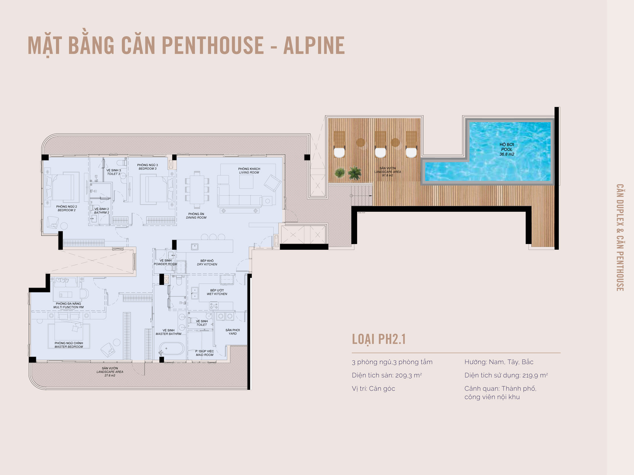 Layout Penthouse   A1